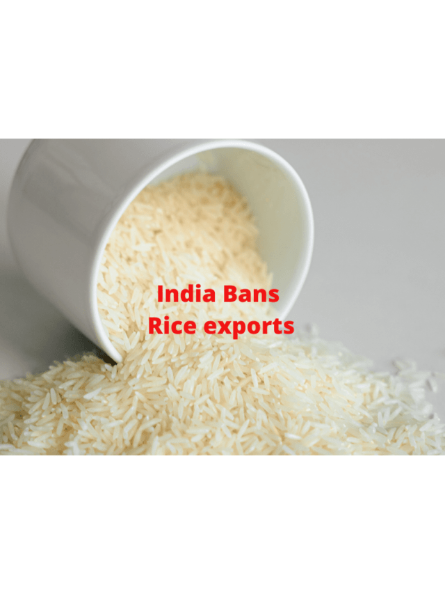 india bans rice exports